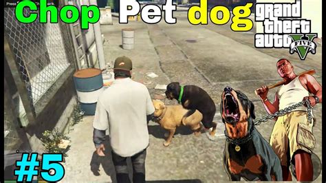 Gta5 Gameplay Walkthrough Of Story Missionchopmission5 Pet Dog
