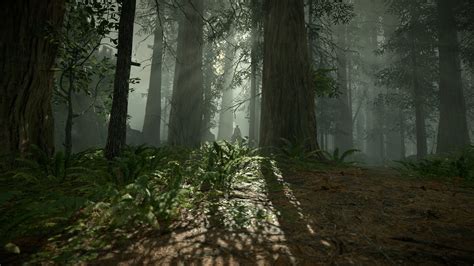 Lost Woods Rshadowofthecolossus