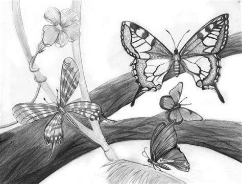 Mariposas A Lapiz Dibujos De Mariposas Dibujos De Flores