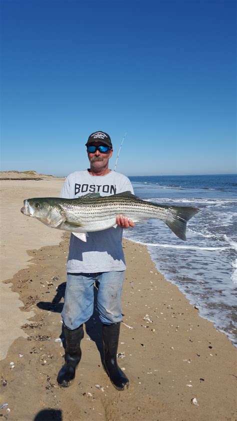 Surfland Bait And Tackle Plum Island Fishing Murph The Man With
