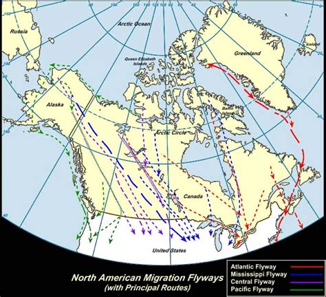 North American Migration Flyways Optics Empire