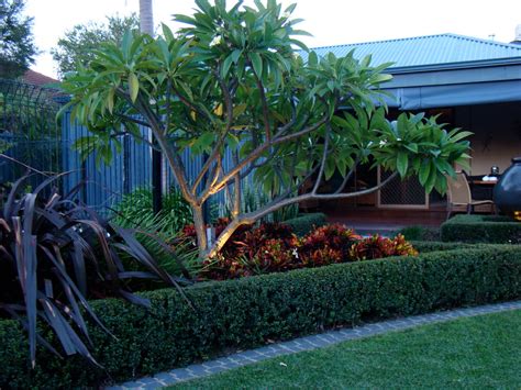 An Entertainers Garden Tropical Landscape Perth By Mondo Landscapes