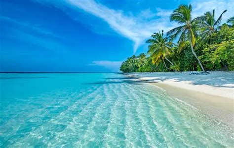 100 Maldives Images Hd Scenic Travel Photos Download Free