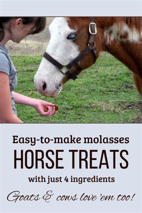 Diy Horse Treats Without Molasses How To Make Your Own Flaxseed Horse
