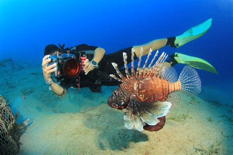 Top 14 Underwater Photography Tips How To Take Underwater Photos