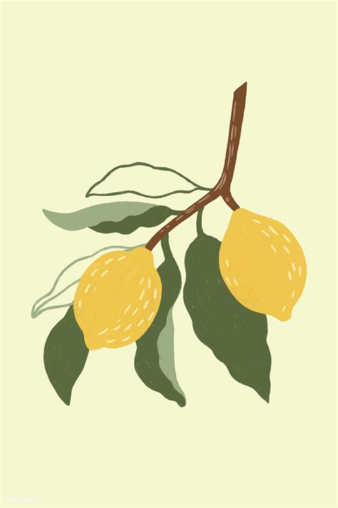 Hand Drawn Lemon Design Resource Vector Premium Image By
