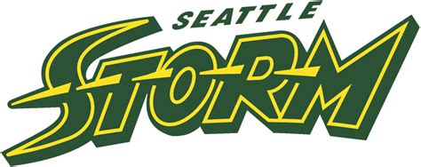 Seattle Storm Wordmark Logo Womens National Basketball