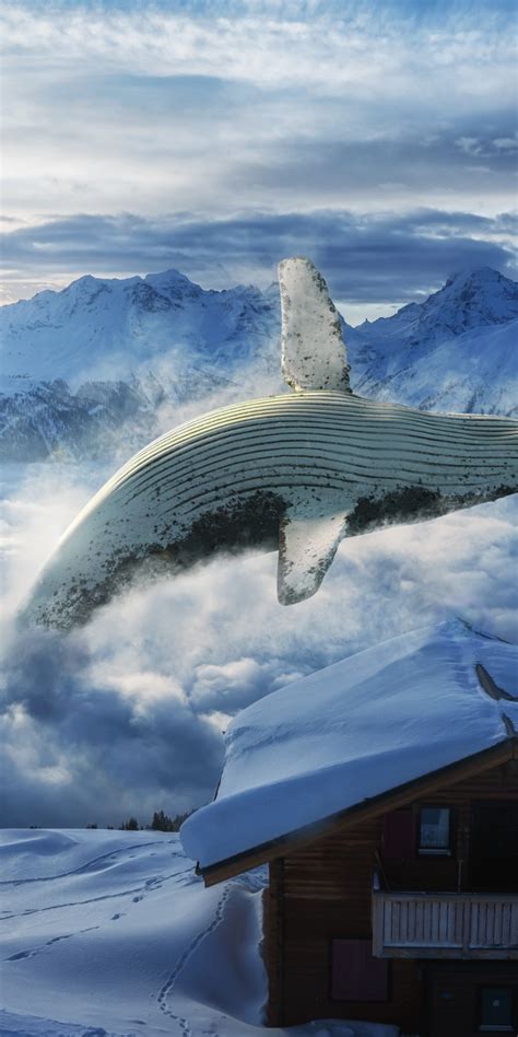 Whale Wallpaper 4k Mountain Range Snow Covered Wooden House