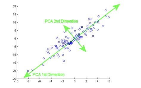 Principal Components Analysis Explained For Dummies Programmathically
