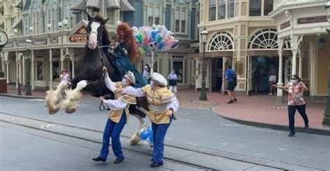 Experience our tactical team building laser tag. Disney World Horse Goes Bonkers During Princess Parade ...