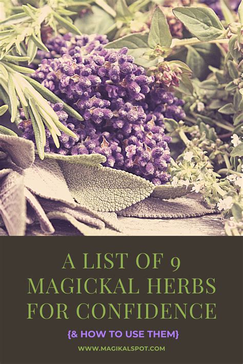 A List Of 9 Magickal Herbs For Confidence Diy Magickal Herbs