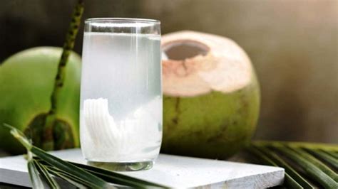 air kelapa kaya manfaat penggnati air putih informasi terbaru seputar lifesytle