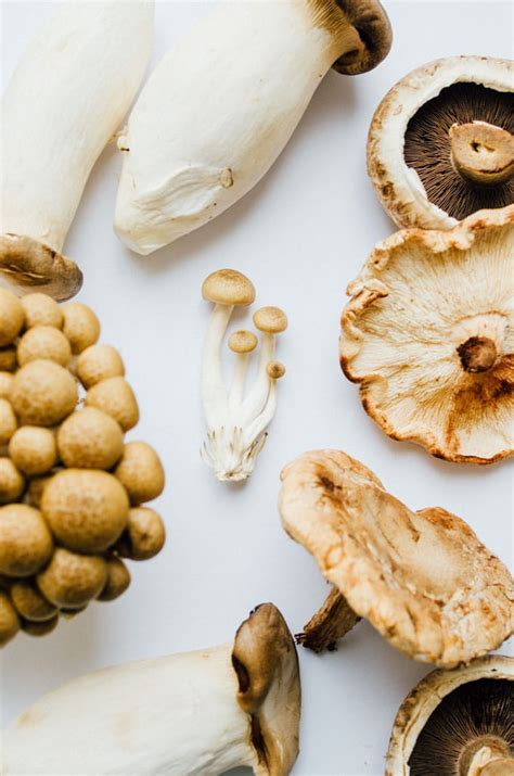 5 Common Types Of Mushrooms And How To Use Them Live Eat Learn