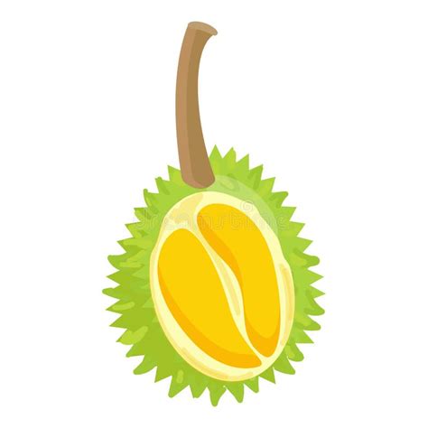 Durian Fruit Cartoon Vector Icon Stock Illustrations 902 Durian Fruit