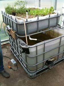 Metroupdate.biz provides products related to northern wisconsin craigslist farm and garden at lower prices than those elsewhere. denver farm & garden - craigslist | Backyard aquaponics ...