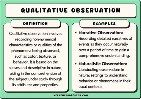 23 Qualitative Observation Examples 2024