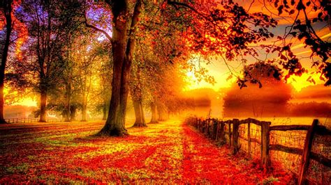 Hintergrundbilder Herbst