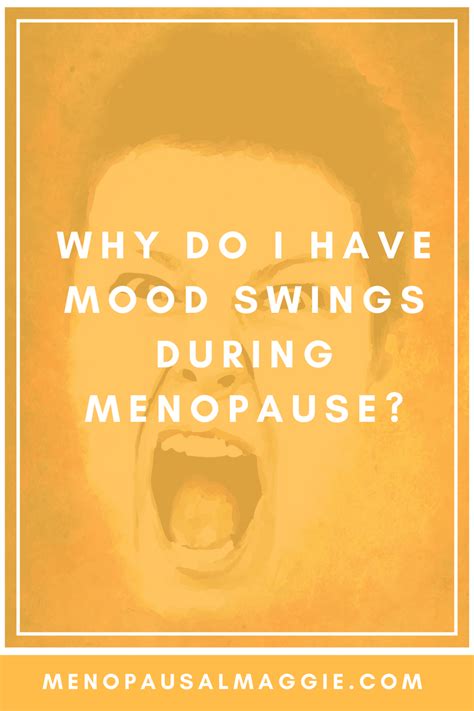 Pin On Menopausal Maggie A Guide To Surviving The Symptoms Of Menopause