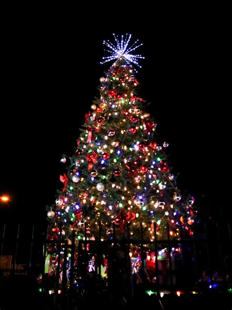 Christmas Tree Lighting Ramona Chamber Of Commerce