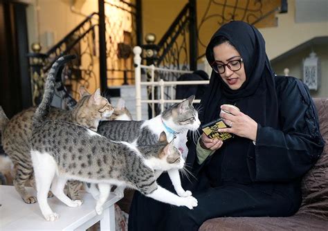 گربه‌های خیابانی در خانه زن اماراتی ایران اینترنشنال