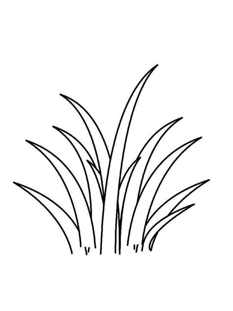Free Printable Grass Coloring Pages