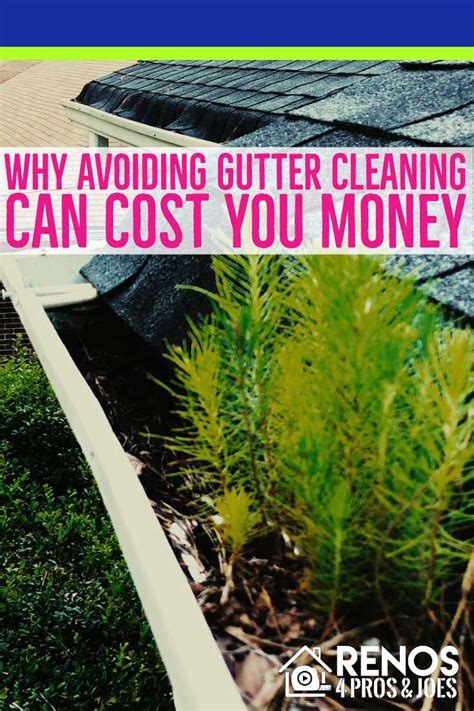 Gutter Cleaning Why Its So Important Renos Pros Joes Cleaning Gutters Gutter Gutters