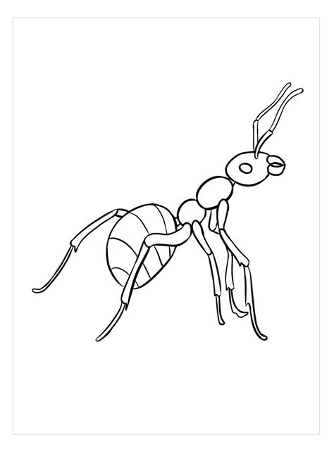Dibujos De Hormigas Para Colorear Sketch Coloring Page