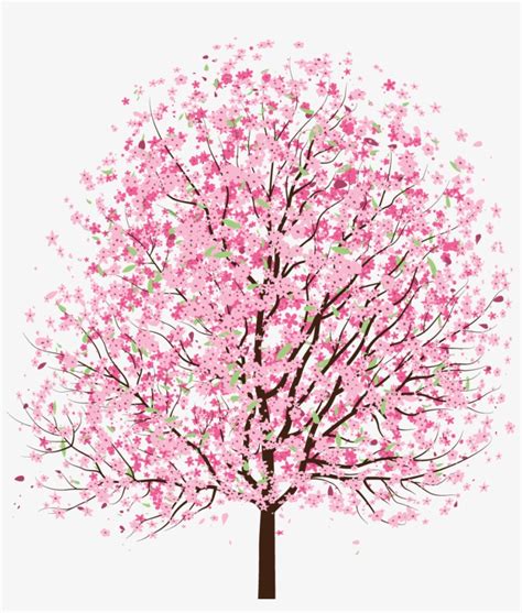 Japanese Cherry Blossom Tree Drawing Easy Sakura Painting Cherry