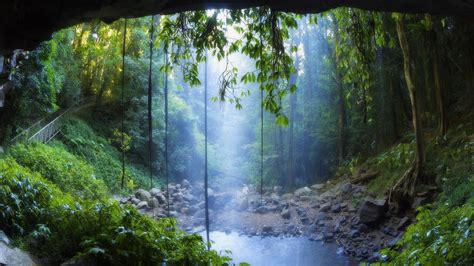 Rain Forest Wallpapers National Parks Scenery Magical Places