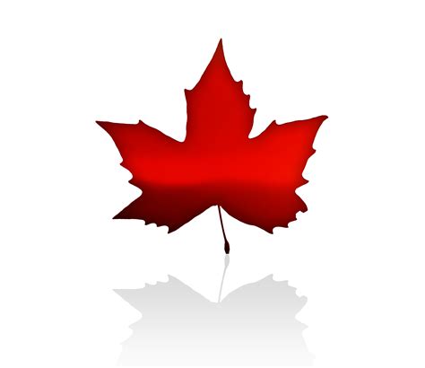 Free Canadian Maple Leaf Transparent Background Download Free Canadian