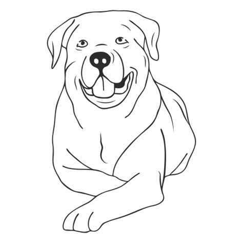 Rottweiler Dog Lying Down Stroke Transparent Png And Svg Vector File