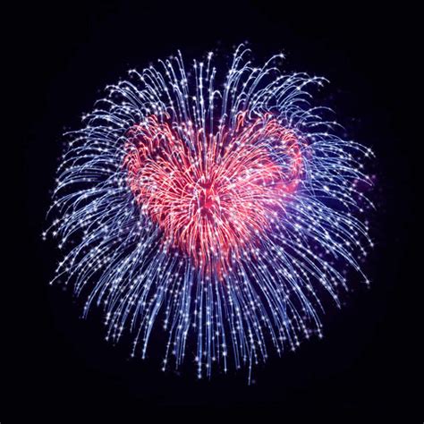 Pin by Ongun Tasarım on Gif s Fireworks gif Happy new year pictures