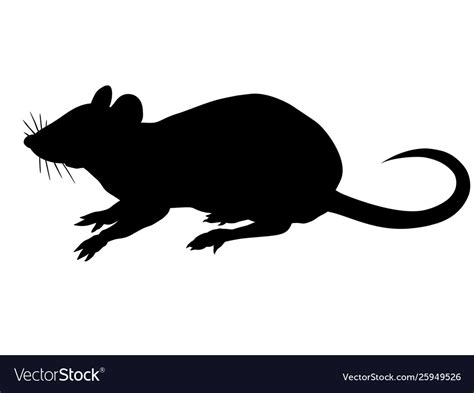 Silhouette Rat Isolated On White Background Vector Image