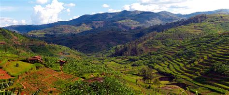 Huge collection, amazing choice, 100+ million high quality, affordable rf and rm images. Rwanda - "Land of a Thousand Hills" - Great Lakes Safaris ...