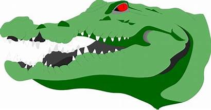 Crocodile Clipart Head Illustration Alligator Crocodiles Transparent