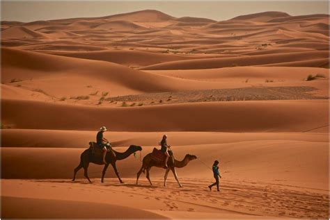 And yeah it is fault of oneplus. Explore Morocco Desert (4 days) by Trek in Morocco with 1 Tour Review (Code: 4EMD) - TourRadar