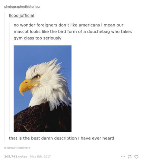 20 Times Tumblr Made Everyone Laugh At America