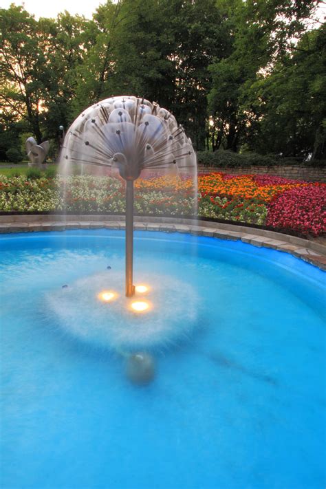 Dandelion Fountain Free Stock Photo Public Domain Pictures