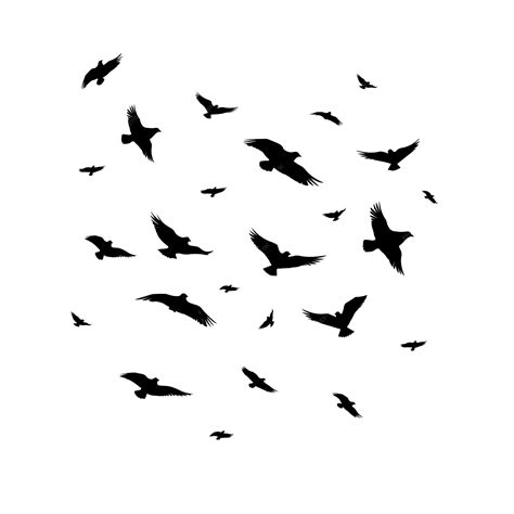 Premium Vector Birds Flock Black And White Birds Flying