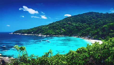 Similan Islands In Thailand Where Bluest Waters Awaits You