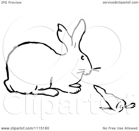 Clipart Vintage Black And White Bunny And Carrot Royalty