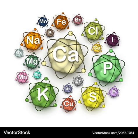 Various Microelements Macroelements And Minerals Vector Image