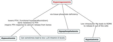 Hypomagnesemia And Electrolyte Disorders Hypocalcemia Grepmed