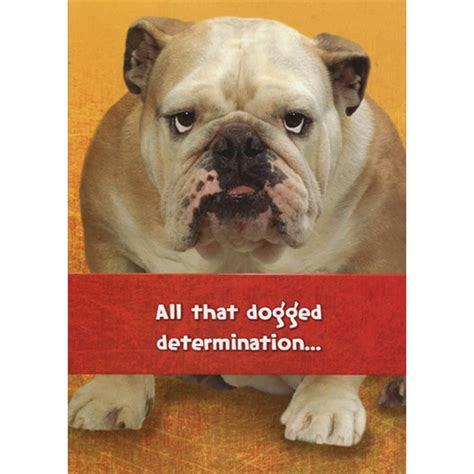 Designer Greetings Dogged Determination Bulldog Funny Humorous Dog