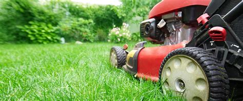 At metro detroit lawn service, we do so much more than just cut your grass. Lawn Care: Service Provider Questions - AskHRGreen