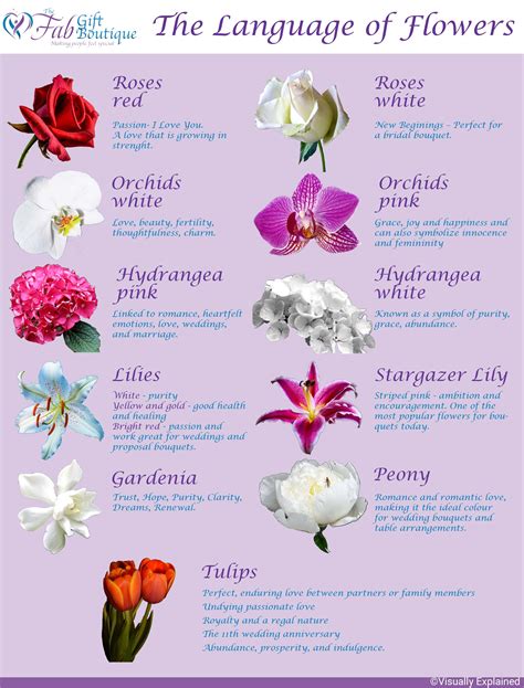 Flower Meanings Language Of Flowers Flower Guide