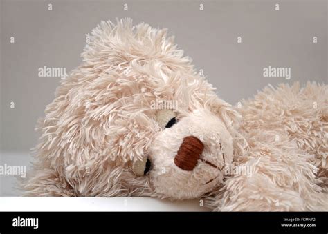 Sleeping Teddy Bear Cuddly Toy Stock Photo Alamy