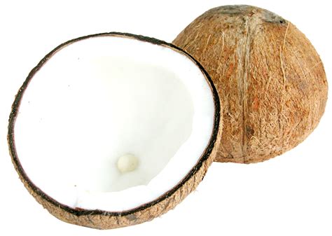 Two Half Coconuts Png Image Purepng Free Transparent Cc0 Png Image
