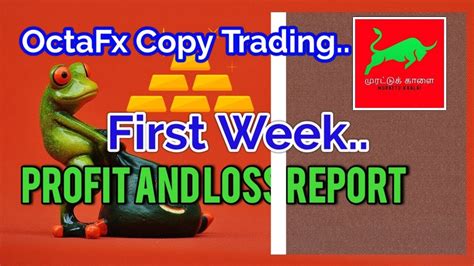 OctaFx Copy Trading First Week Profit Loss Report Part 1