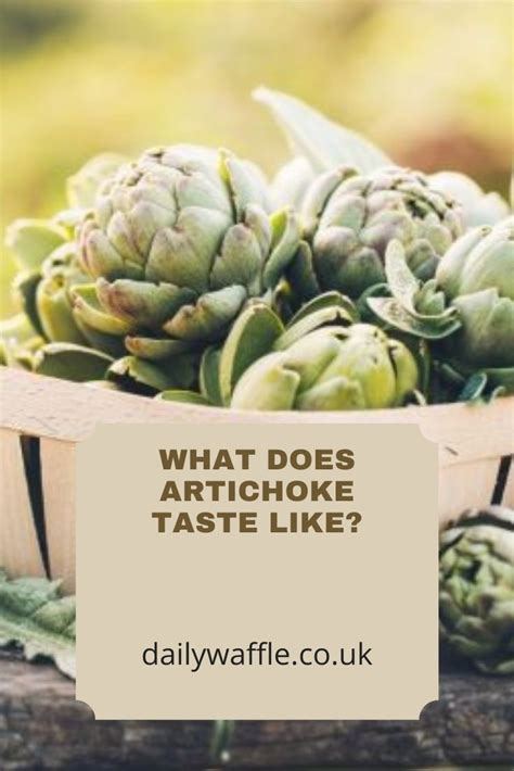 What Does Artichoke Taste Like Artichoke Asparagus Fries Nutritious Snacks